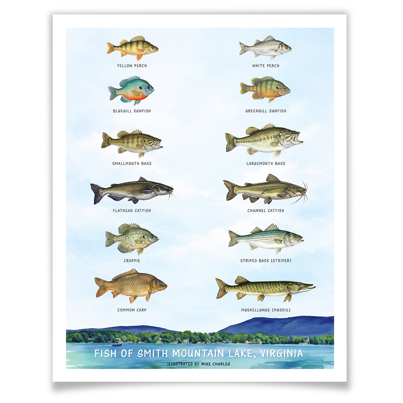Fish of Smith Mountain Lake - Watercolor Poster